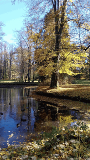 Fotoobraz - Pri jazierku