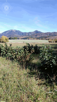 V mošovskom chotári 2