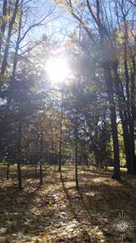 Fotoobraz Slnečnou cestou