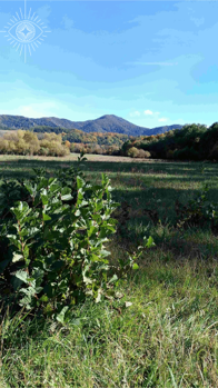 Fotoobraz - V mošovskom chotári