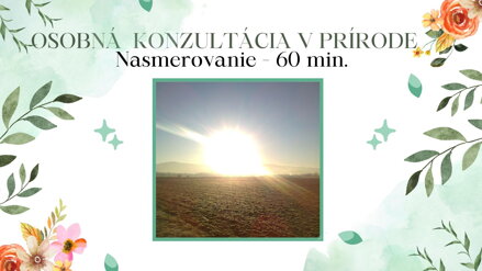 OSOBNÁ INTUITÍVNA KONZULTÁCIA V PRÍRODE - 60 MIN.