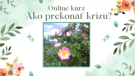 ONLINE KURZ - AKO PREKONAŤ KRÍZU