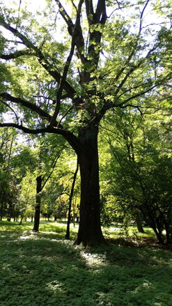 RITUÁL VYVÁŽENIA ENERGIE POMOCOU ŽIVLOVÝCH ENERGIÍ RITUÁL VYVÁŽENIA ENERGIE POMOCOU ŽIVLOVÝCH ENERGIÍ