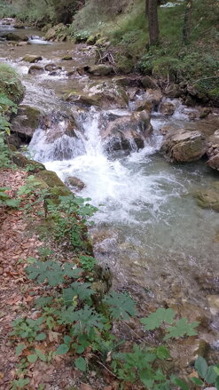 RITUÁL VYVÁŽENIA ENERGIE POMOCOU ŽIVLOVÝCH ENERGIÍ