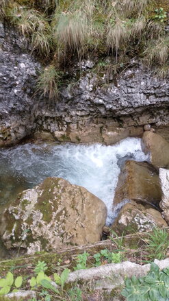 RITUÁL VYVÁŽENIA ENERGIE POMOCOU ŽIVLOVÝCH ENERGIÍ RITUÁL VYVÁŽENIA ENERGIE POMOCOU ŽIVLOVÝCH ENERGIÍ