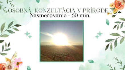 OSOBNÁ INTUITÍVNA KONZULTÁCIA V PRÍRODE - 60 MIN.